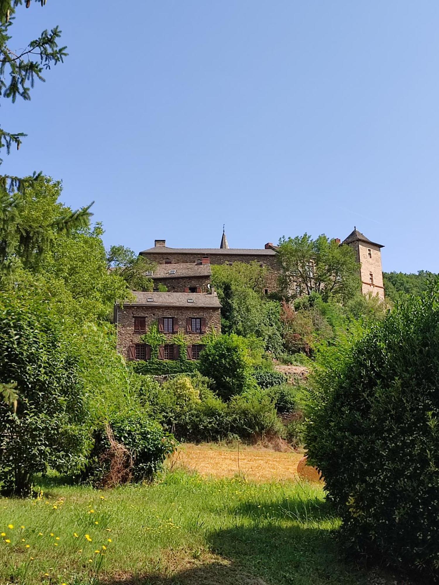 Gite L'0Livier Avec Piscine En Aveyron Villa Saint-Just-sur-Viaur Exterior photo